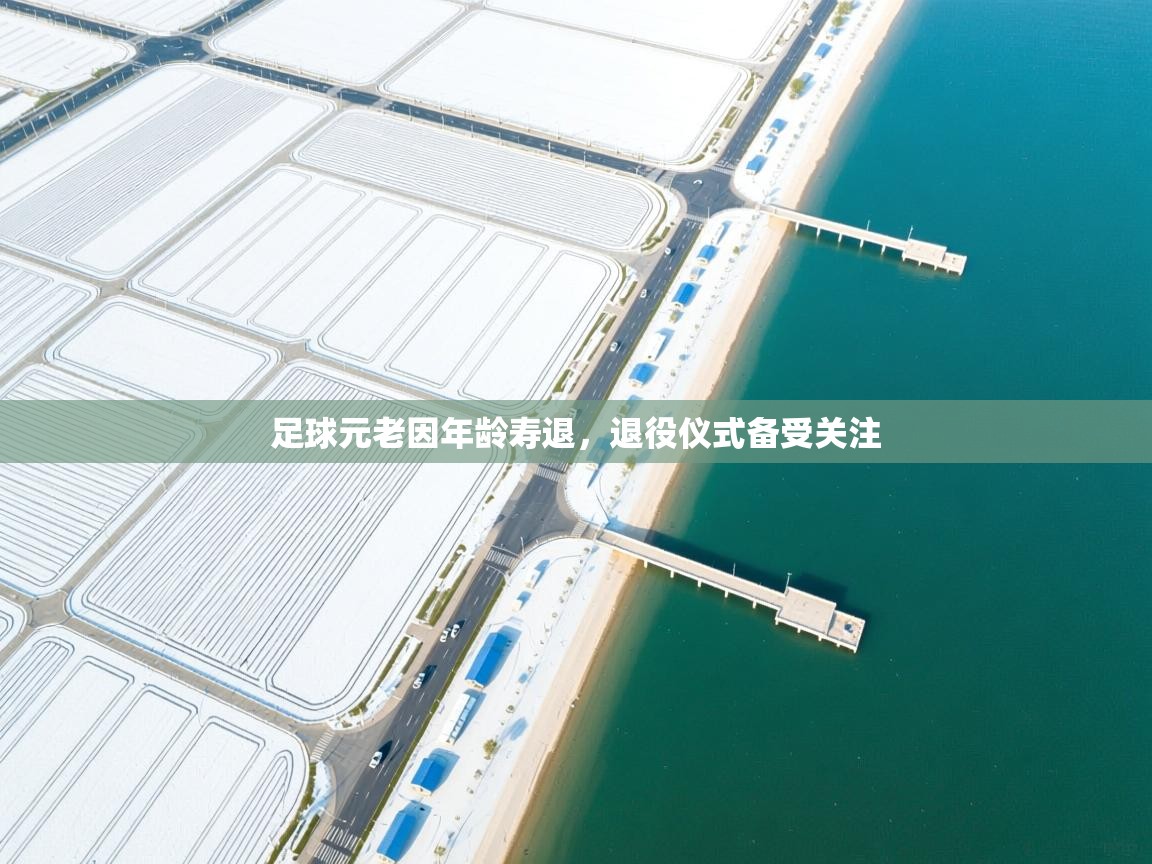 足球元老因年龄寿退,退役仪式备受关注