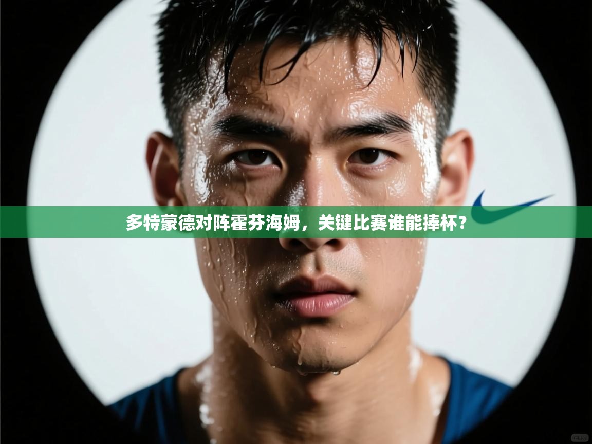 多特蒙德对阵霍芬海姆,关键比赛谁能捧杯? 第2张