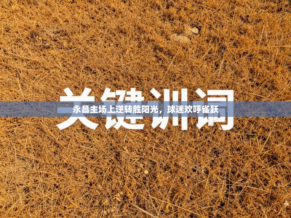 永昌主场上逆转胜阳光,球迷欢呼雀跃