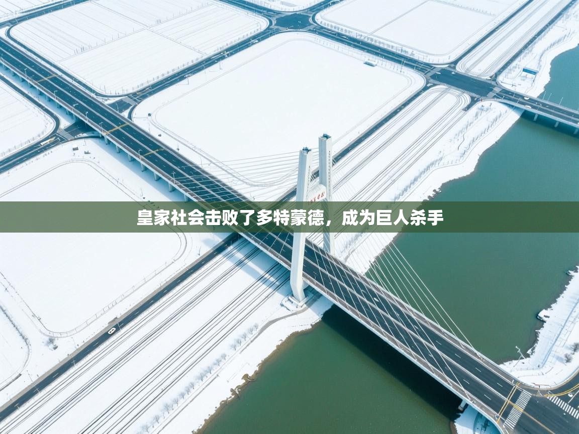 皇家社会击败了多特蒙德,成为巨人杀手 第2张