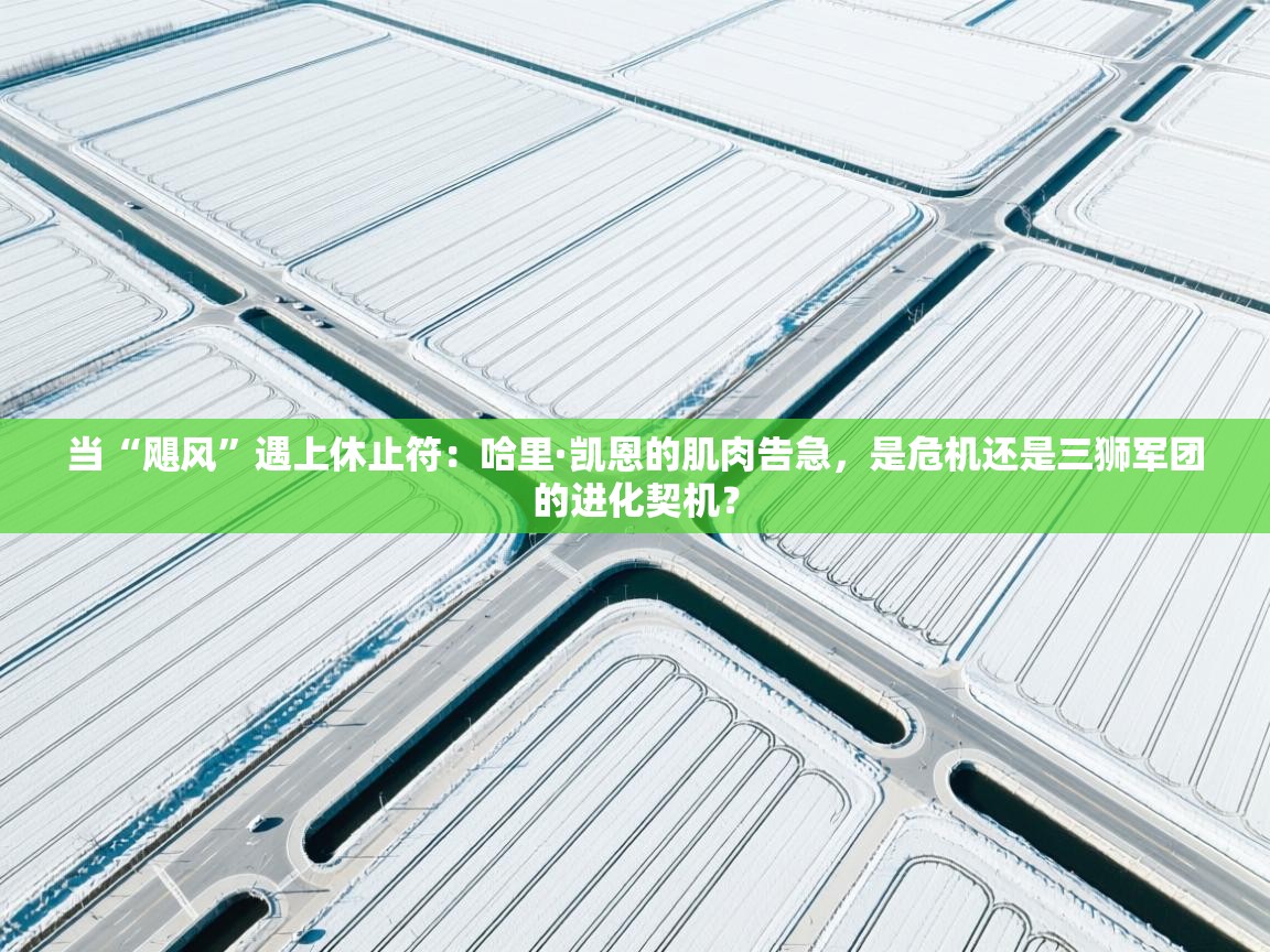 当“飓风”遇上休止符：哈里·凯恩的肌肉告急，是危机还是三狮军团的进化契机？  第1张