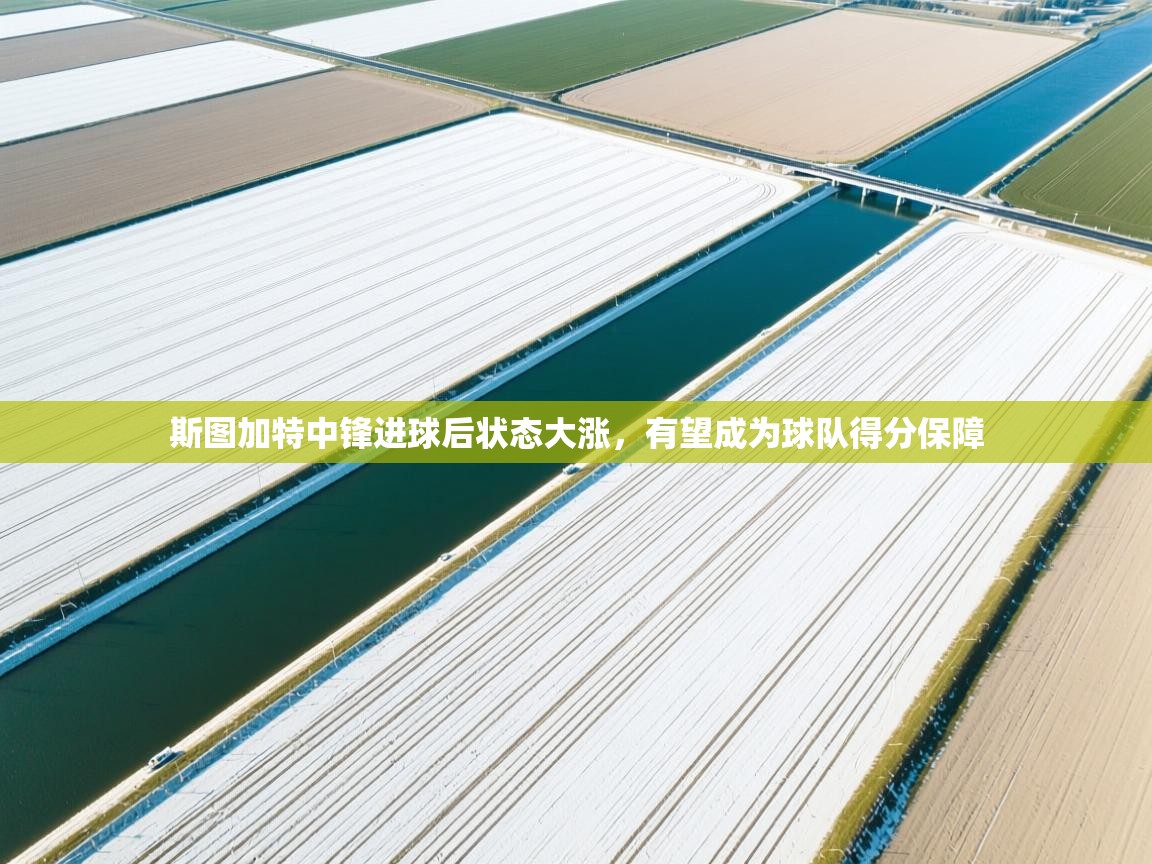 斯图加特中锋进球后状态大涨，有望成为球队得分保障  第1张