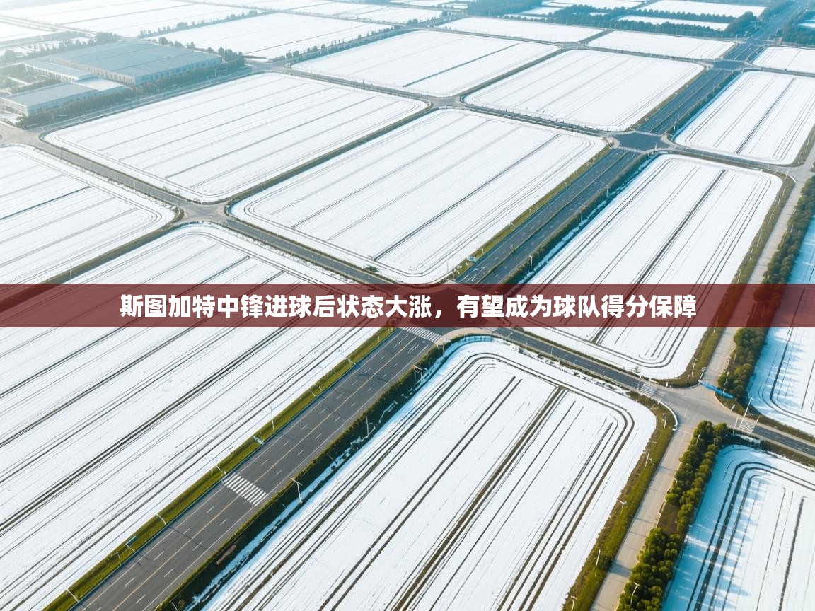 斯图加特中锋进球后状态大涨，有望成为球队得分保障  第2张