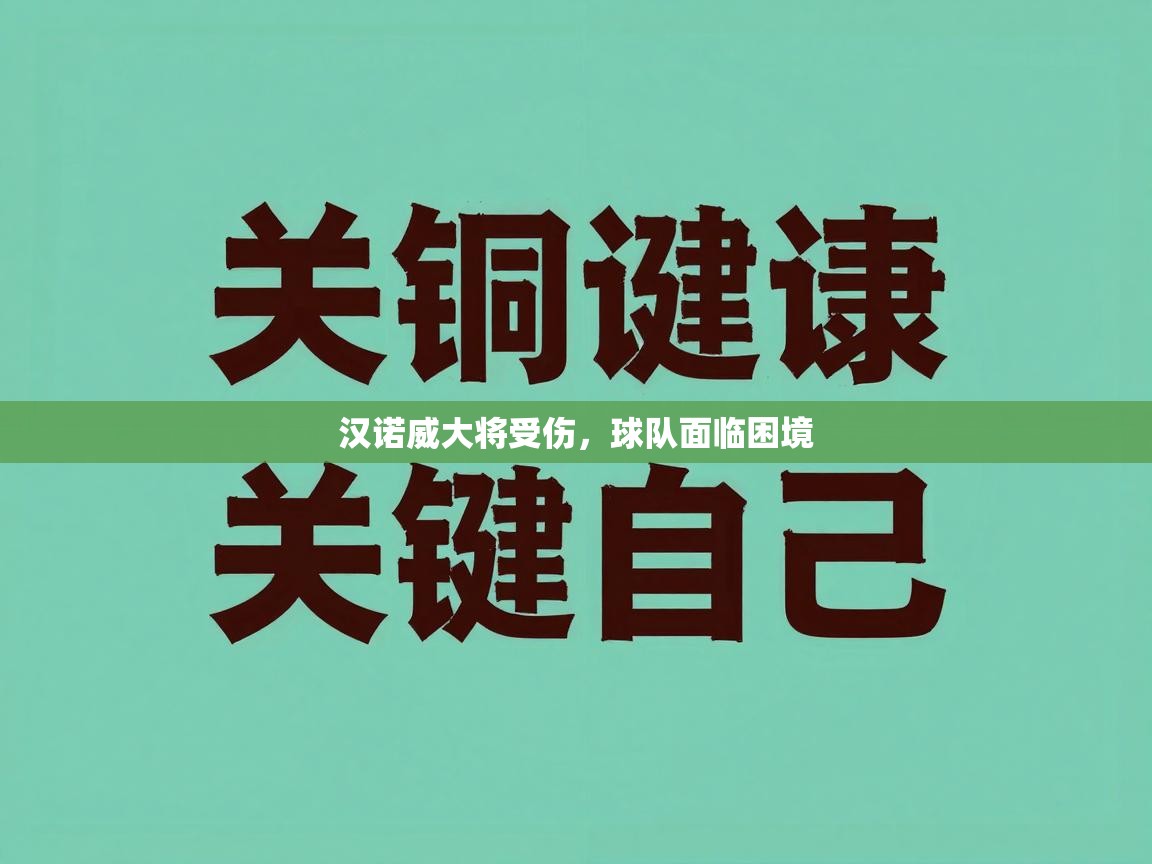 汉诺威大将受伤,球队面临困境 第2张