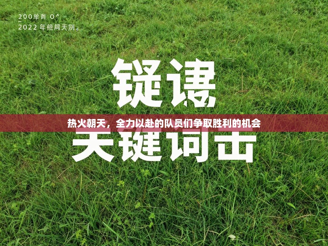 热火朝天，全力以赴的队员们争取胜利的机会  第2张